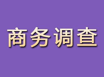 颍上商务调查