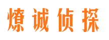 颍上外遇出轨调查取证